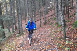 Stage Multiactivités Automne 2025