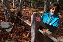 Stage Multiactivités Automne 2025